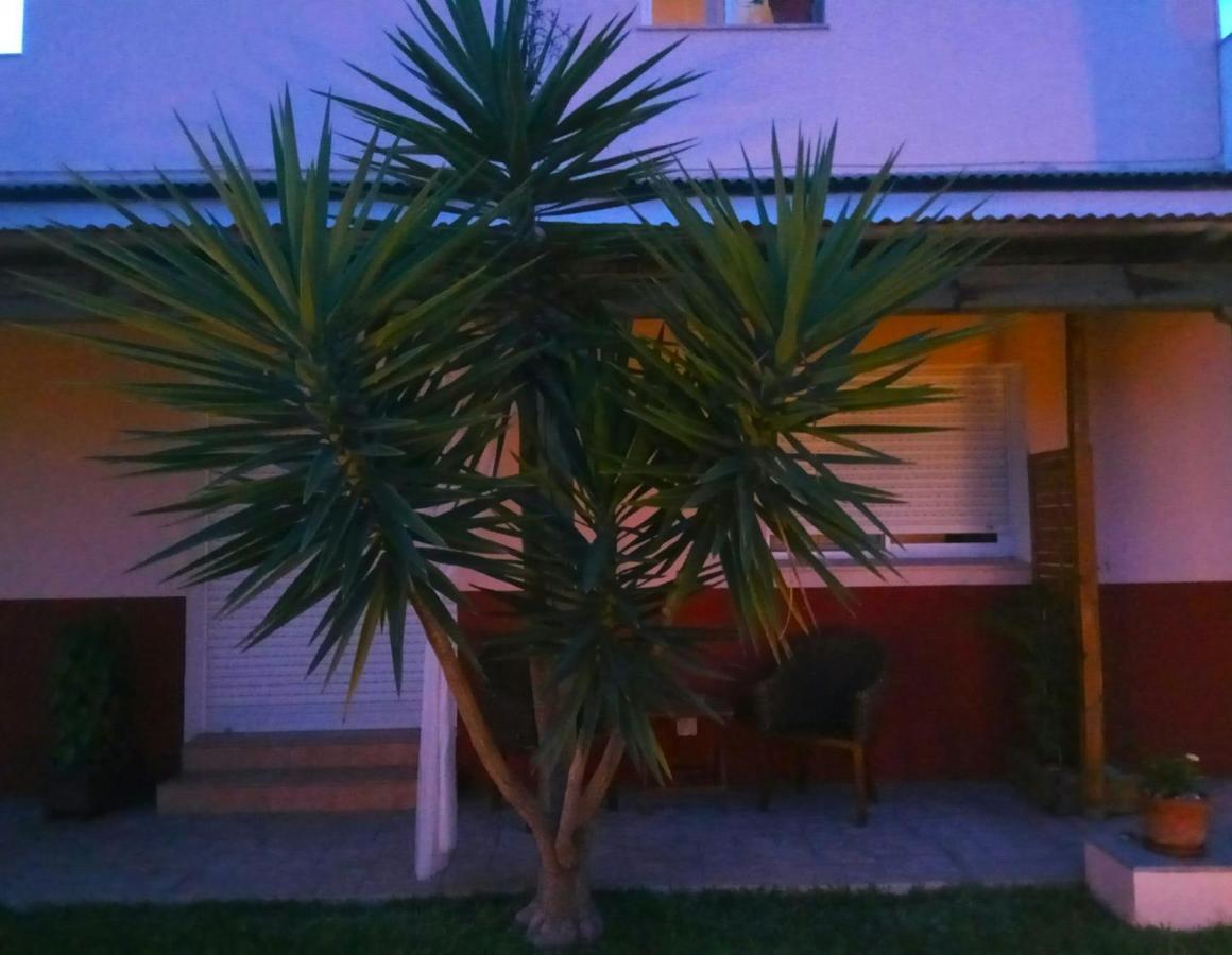 Casablanca El Petit Hotel 델테브레 외부 사진