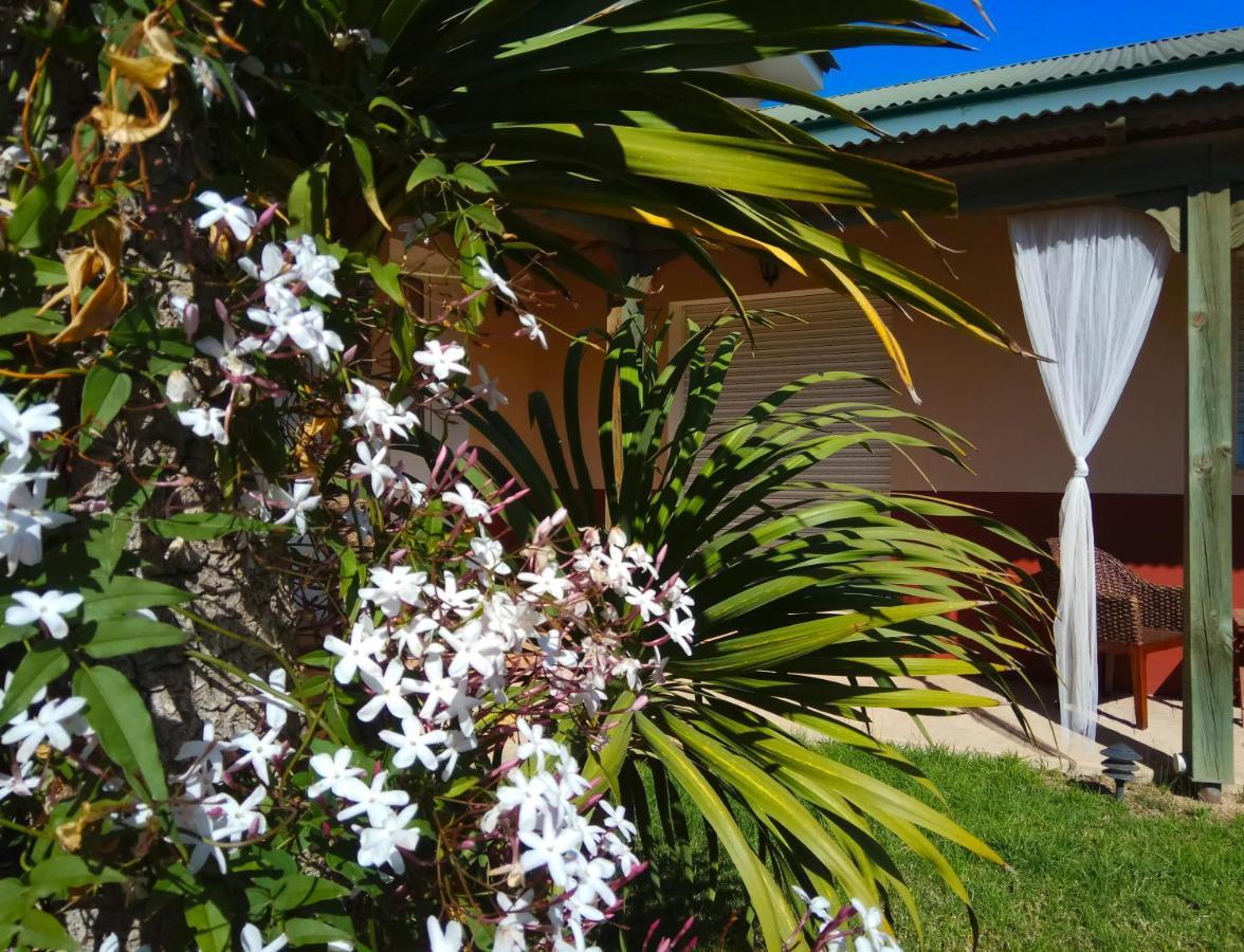 Casablanca El Petit Hotel 델테브레 외부 사진